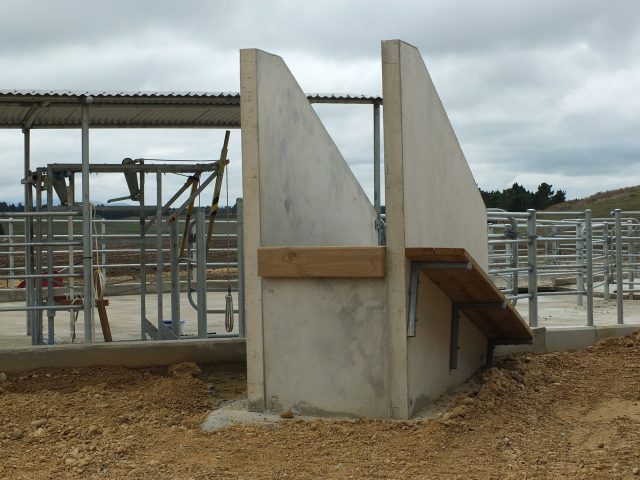 cattle ramp
